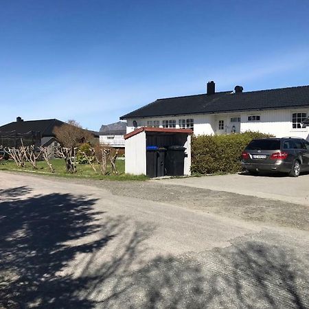 Cozy & Private Room In The Middle Of Lofoten Leknes Exterior photo